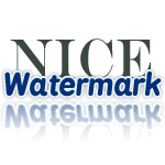 Nice Watermark Logo