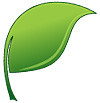 eco friendly green leaf
